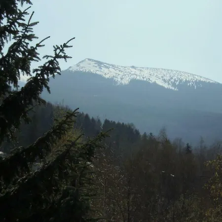 公寓 狩猎小屋公寓 卡尔帕奇