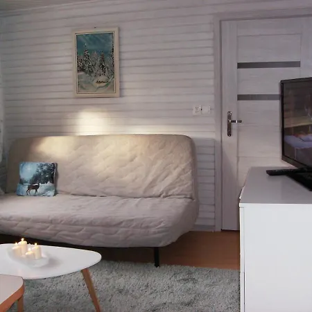 Mysliwski Apartment
