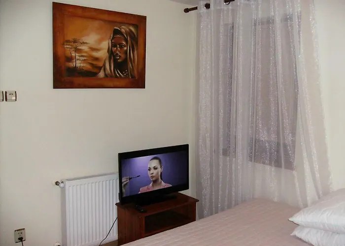 Apartamento Mysliwski *